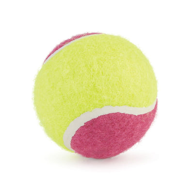 Ancol Tennis Balls Assorted 6cm Display Box